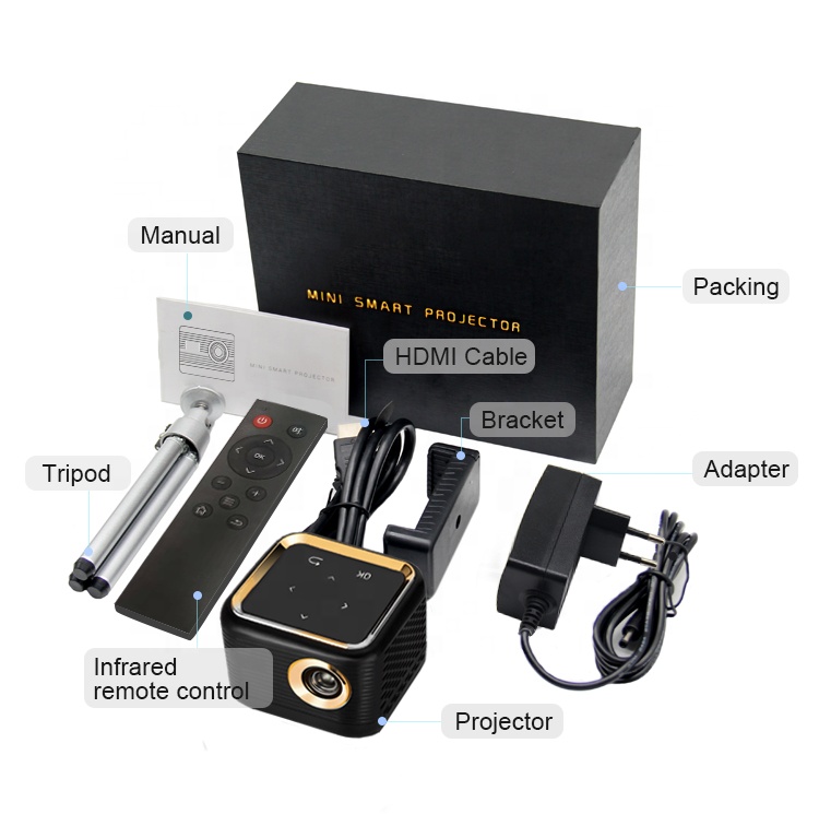 2024 Mini Portable USB Pocket  - Home Cinema Kids 评论和价格